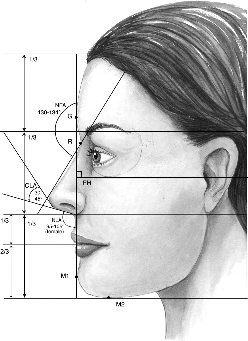 236 Operative Techniques in Otolaryngology, Vol 18, No 3,