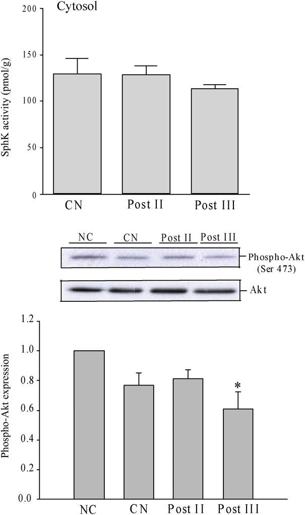 140 Z.-Q. Jin et al. Figure 8 Effect of suboptimal ischaemic postconditioning (POST) regimens on SphK activity in cytosol (A) and expression of phosphorylation of Akt (B).