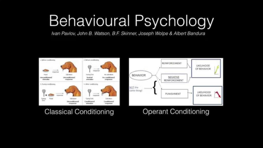 therapy today. The behavioural elements of CBT have their origins in the behaviourist practice of psychology, specifically influenced by the study of Ivan Pavlov and John B.