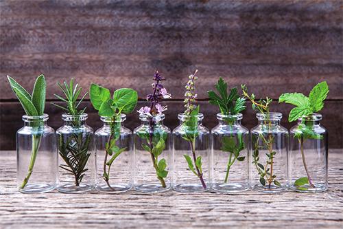 Herbs - While there are some herbs that are beneficial, we typically recommend that people stay away from them.
