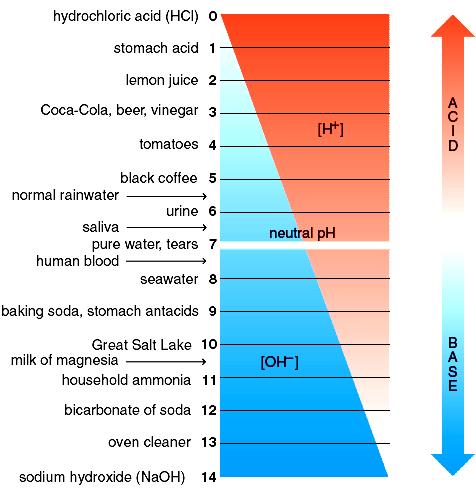 Figure 2.7 The ph scale. The proportionate amount of hydrogen ions to hydroxide ions is indicated by the diagonal line.