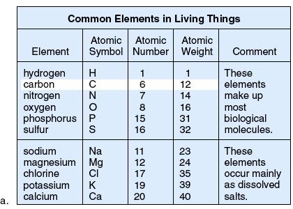 Figure 2.1 Elements and atoms. a. The atomic symbol, number, and weight are given for common elements in the bo