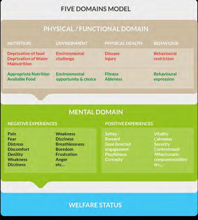 The Five Domains: A Way of Assessing & Thinking about Welfare INFLUENCES David J.