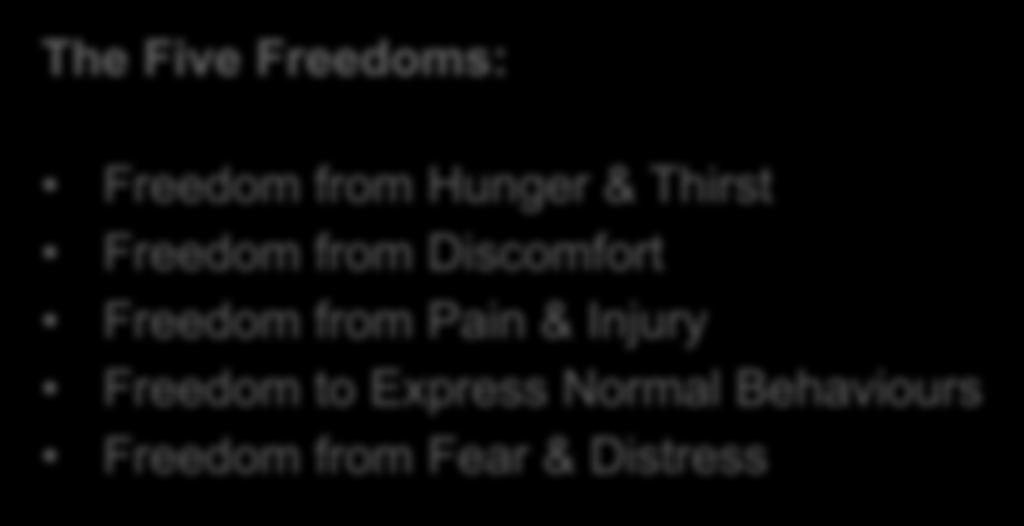 The Five Freedoms: INFLUENCES Freedom from Hunger & Thirst Freedom from Discomfort Freedom from Pain & Injury Freedom to Express Normal Behaviours Freedom from Fear & Distress However.