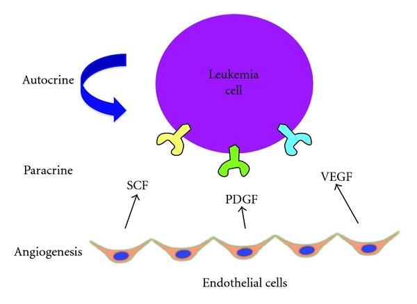 Figure 1-2. Multiple Mechanisms of Angiogenic Pathways Regulate Acute Myeloid Leukemia Survival and Proliferation.