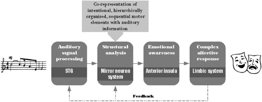 Music and mirror neurons SCAN (2006) 237 Hierarchical processing in action and in linguistic grammar have been found to show both behavioral and neural similarities in developmental investigations,