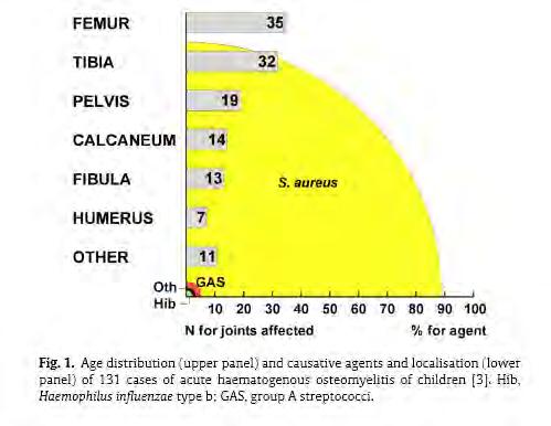 Prevalence of organisms Causative agents and