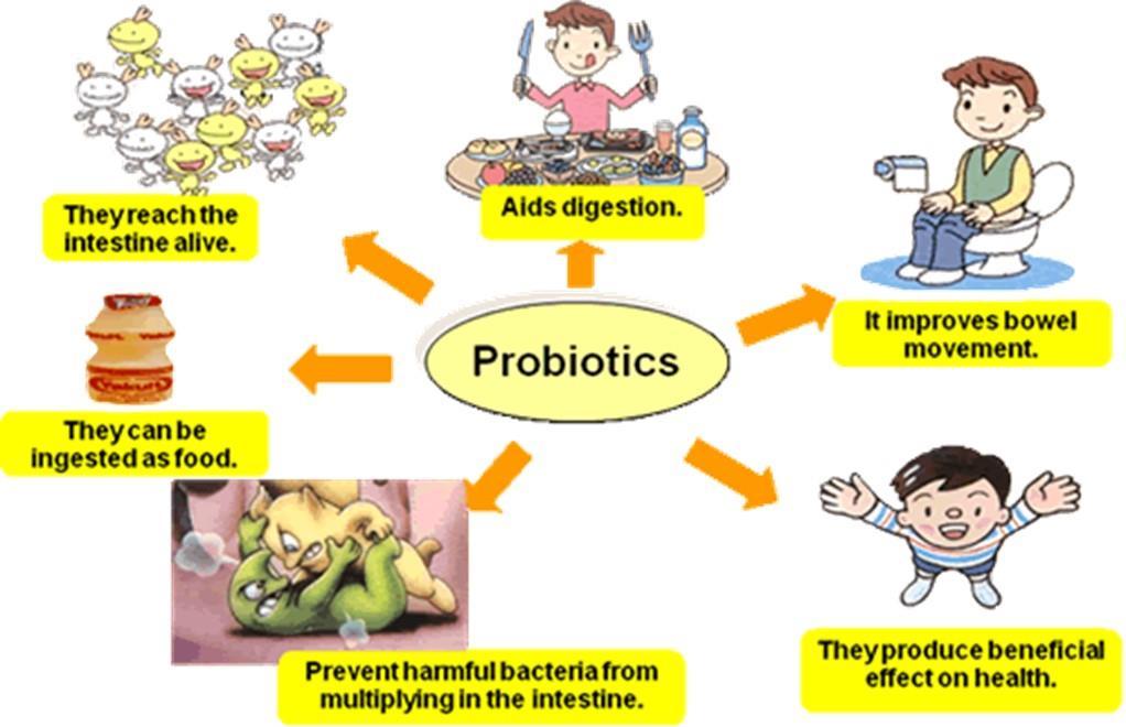Probiotics: Beneficial
