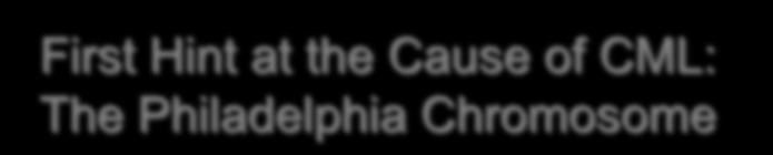 First Hint at the Cause of CML: The Philadelphia Chromosome