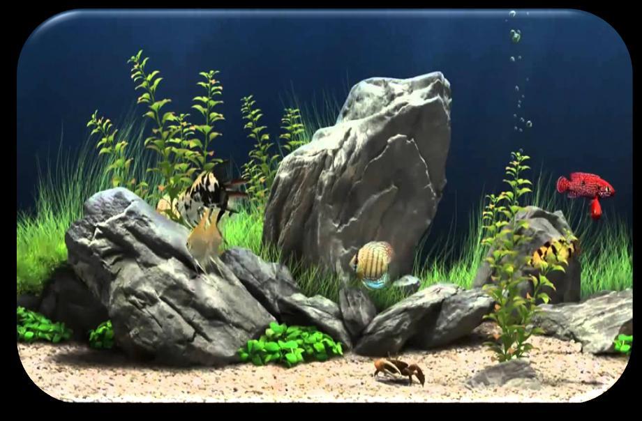 A non-verbal resident began speaking again after having the fish tank screensaver running in her
