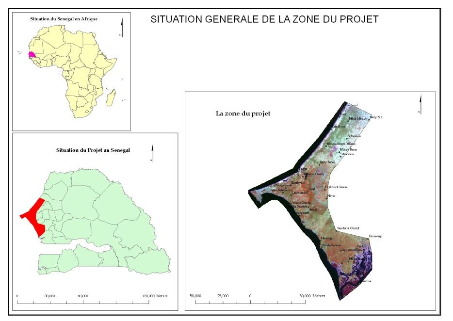 The target area in Senegal: Niayes Good climatic conditions Trypanosomosis = main constraint Tsetse eradication = to create a suitable sanitary context for innovation