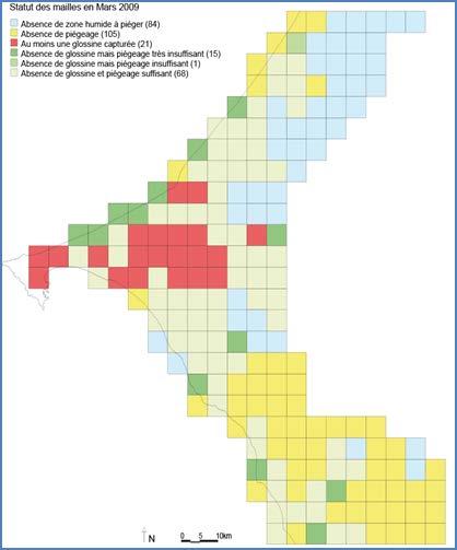 PCA 2: Entomological base line data A grid with 5 x 5 km cells to cover the entire target area (total: 294 grids,) Dividing of the area in teams Organisation of the teams Development of vegetation