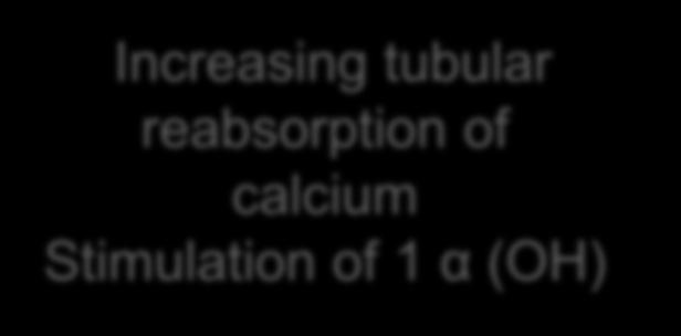 reabsorption of calcium