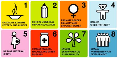 What are the MDGs 8 international development goals created by the United Nations in