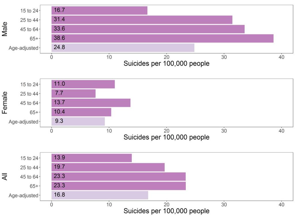 Due to the small numbers of suicides in a given year, data presented here is aggregated across the LBL Region for confidentiality and more accurate estimates. Figure 7.