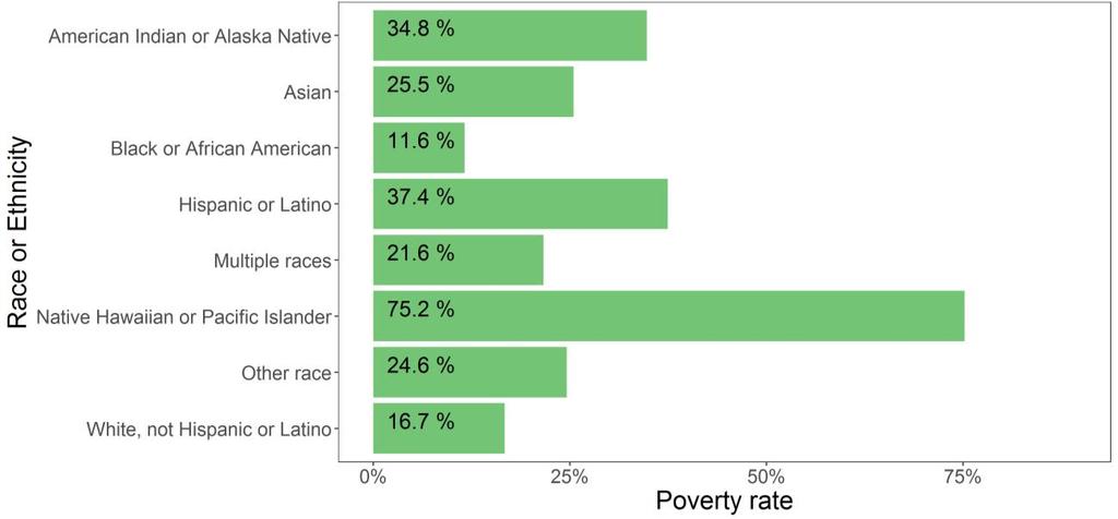 Figure 8.1. Poverty rates, stratified by race and ethnicity.