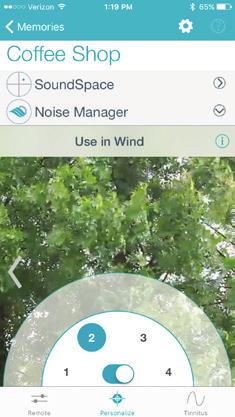 Noise Manager Noise Manager allows you to adjust the settings and microphone direction for multiple noise types in
