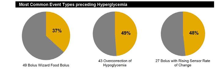The Episode Summary describes events that preceded hypoglycemia and hyperglycemia and provides a section called Other Observations that may contain important factors in achieving optimal glucose