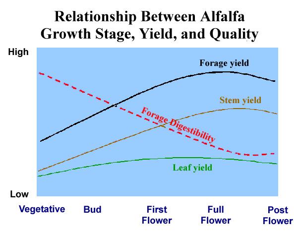 41 This table is an illustration of the changes in alfalfa quality as affected by the stage of maturity at cutting Growth Stage CP ADF NDF RFV Pct. Chg. In RFV vs. E. Bloom Late veg. 23 28 38 164 +13.