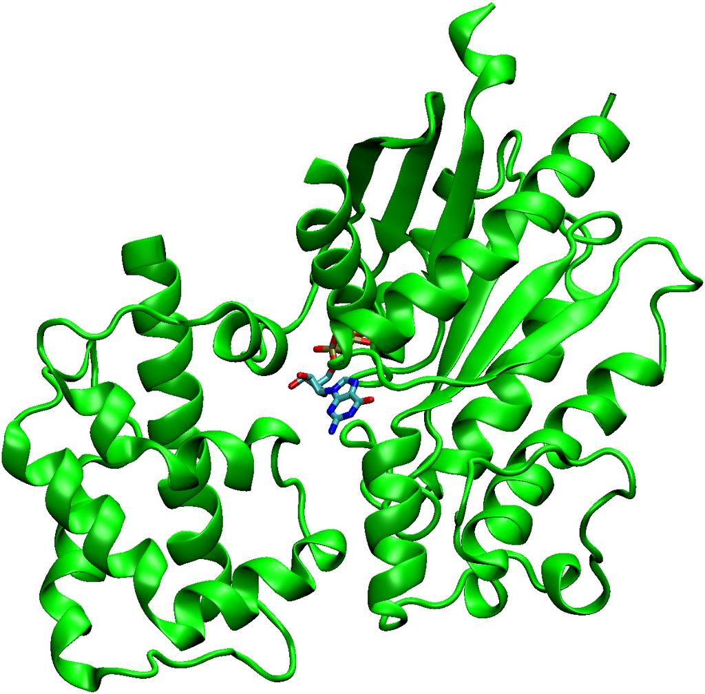 Adenylyl yclase (inactive) Gs" GT (DB ID 1AZT) ucleotide