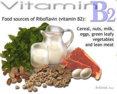 Sources of vitamin B 2 foods of animal origin (liver, pork and beef, milk, dairy products, fish eggs)