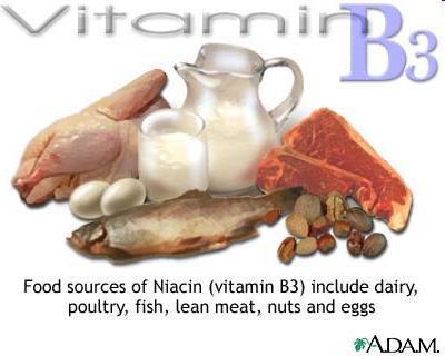 Sources of vitamin B 3 foods of animal origin yeast sunflower seeds, beans, peas