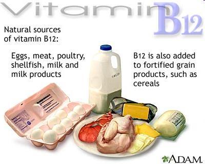 Vitamin B 12 cobalamin Vitamin B 12 in food is bound to the protein. Hydrochloric acid in the stomach releases free vitamin B 12.