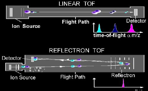 Time-of-Flight Reflectron Increased resolution by compensating