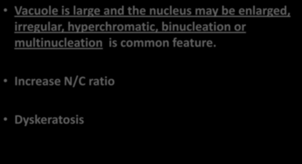 Vacuole is large and the nucleus may be
