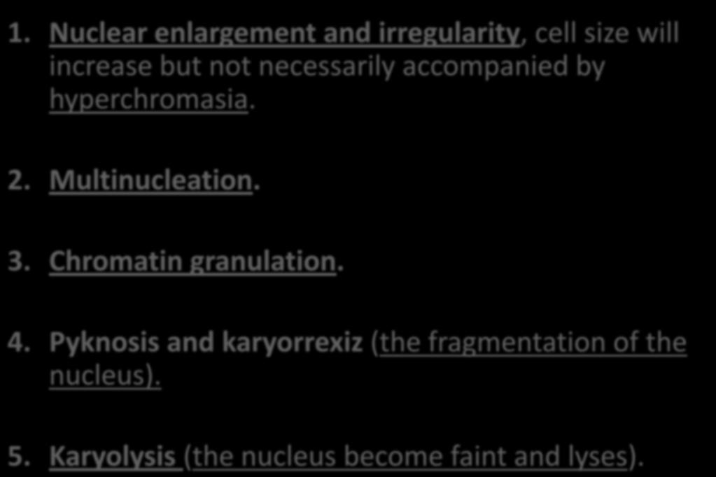 1. Nuclear enlargement and irregularity, cell size will increase but not necessarily accompanied by hyperchromasia. 2. Multinucleation. 3.