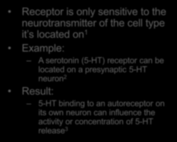 5-HT release 3 Heteroreceptor Receptor is only sensitive to neurotransmitters of cell types other than the type it s located on 4 Example: A 5-HT receptor can be