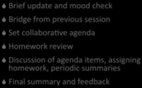 Brief update and mood check Bridge from previous session Set collabora2ve agenda Homework review Discussion of agenda items, assigning