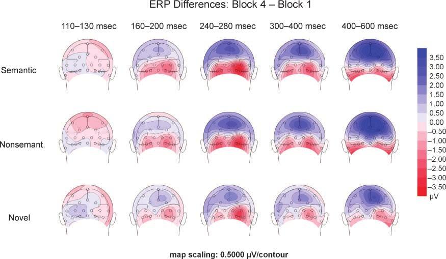 Figure 8. ERP modulations across blocks for learned faces (averaged across the semantic and the nonsemantic condition) and novel faces at electrodes TP9/TP10.