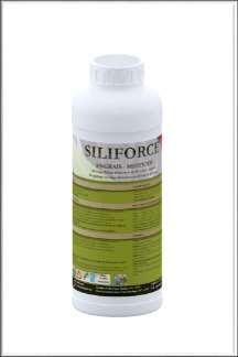 Siliforce Solutions in Cereals/Industrials Silicon reinforcement, increased strength Increase (a)biotic stress resistance (stem borers, sucking insects, fungal infections, drought, harmful radiation)