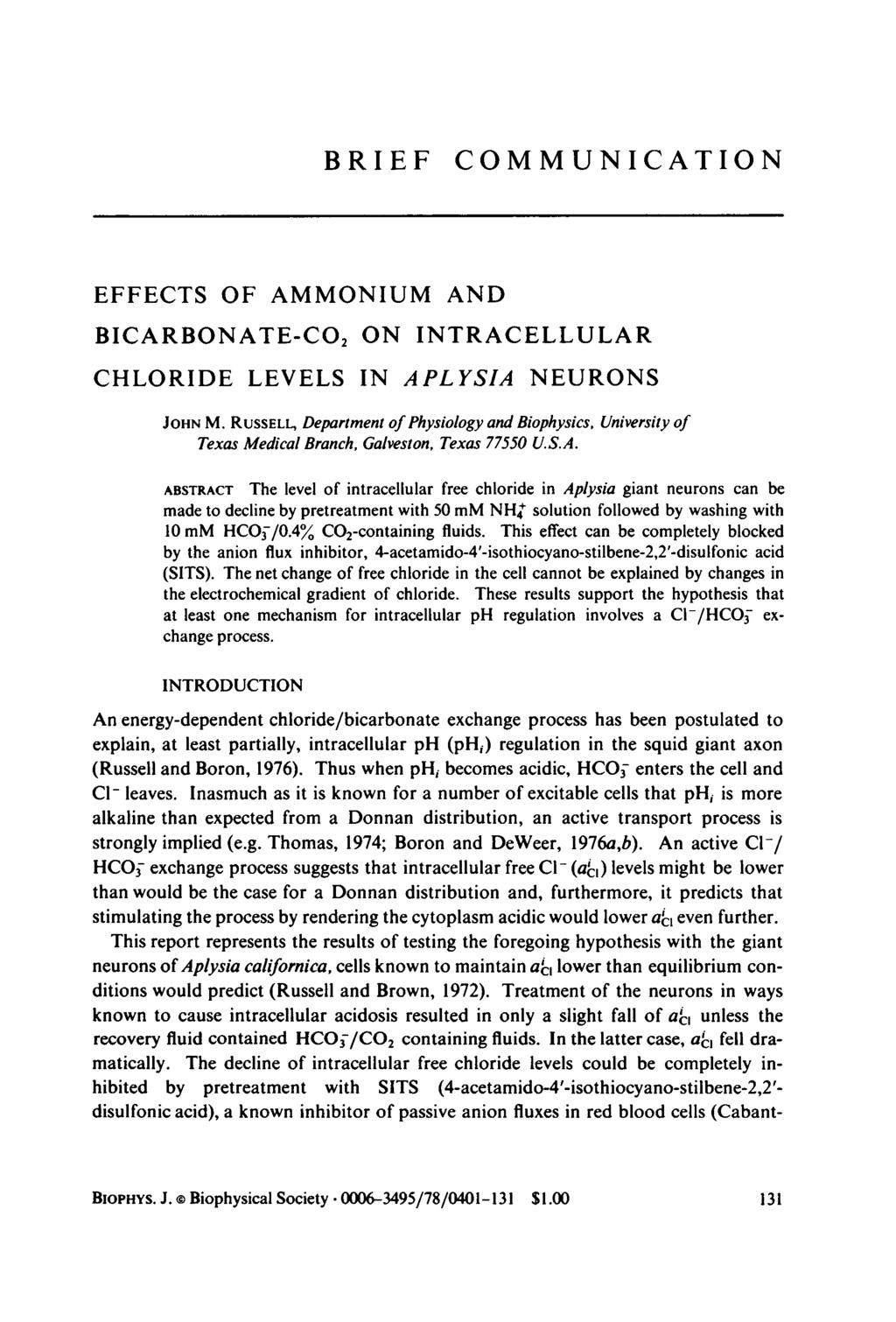 BRIEF COMMUNICATION EFFECTS OF AMMONIUM AND BICARBONATE-CO2 ON INTRACELLULAR CHLORIDE LEVELS IN APLYSIA NEURONS JOHN M.