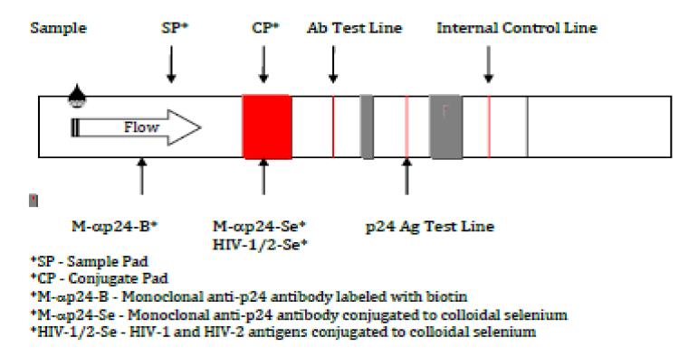4 th Generation Point-of-Care HIV Testing Determine HIV -1/2 Ag/Ab Combo Separate results for HIV p24 antigen and HIV antibody