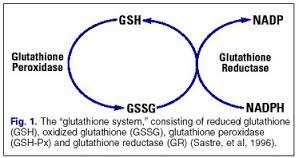Deficiency of G6PD lead to Decrease level of NADPH.