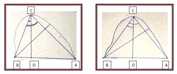 It was taken as the posterior point of the width l(ab) while the tip of ischial spine was taken as the anterior point as A of width. The curvature of greater sciatic notch was then plotted on paper.