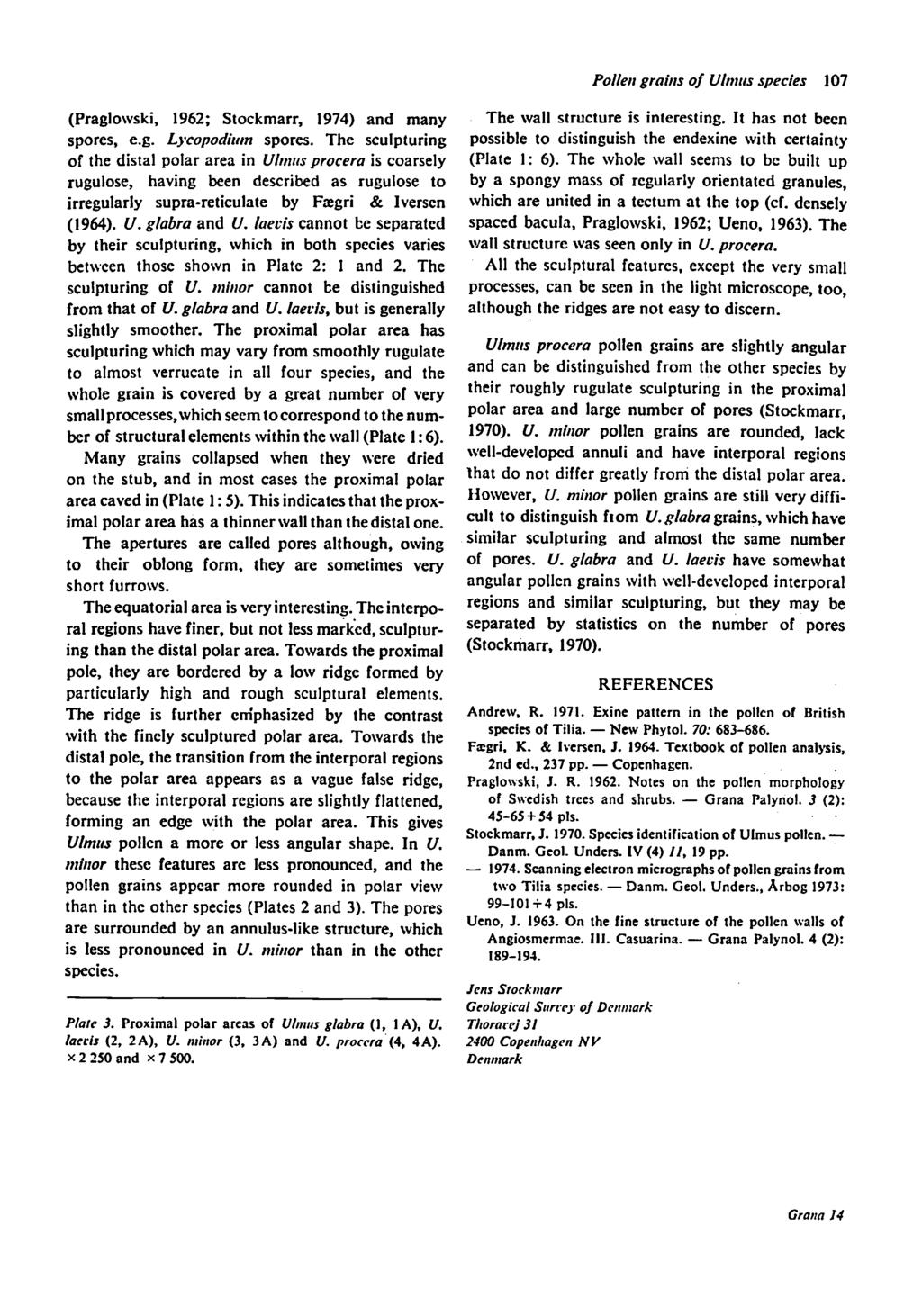 (Praglowski, 1962; Stockmarr, 1974) and many spores, e.g. Lycopodiiim spores.