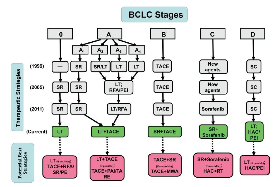 BCLC Evolution Oncotarget.