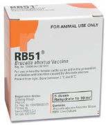 Brucellosis (RB51) Should be given to heifers 4-12 months of age.