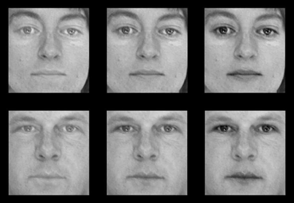 Relative luminance of facial features 1097 Figure 1.