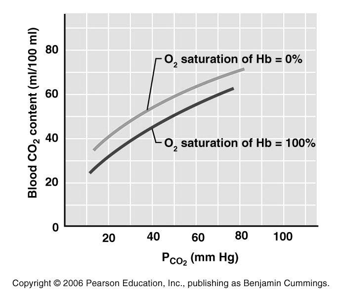 Haldane Effect At the tissues, as more carbon dioxide enters the blood: More oxygen dissociates from hemoglobin due to the hydrogen influence (Bohr effect)