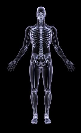 jpg Anatomy is the study of the structures of the human body, while physiology is the study of the functions of these structures.
