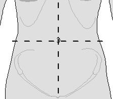 Body Sections and Divisions of the Abdominal Pelvic Cavity Go to the following site: http://www.wisc-online.com/objects/index_tj.asp?