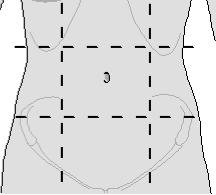 Draw a SAGITTAL/MEDIAL cut on Figure A below. 7. Draw a CORONAL/FRONTAL cut on Figure B below. 8.
