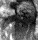 Unknown fragment ion at m/z 128 was homogenously distributed