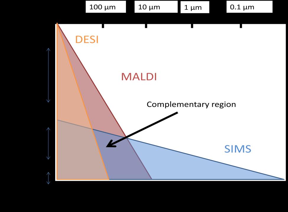 4 Figure 1.1. The diagram describes overlaps and unique areas of MALDI, DESI and SIMS. Lipids are detectable for all three methodologies. 1.2.