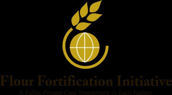 Scope: Impact of Iron Fortification on typical foods