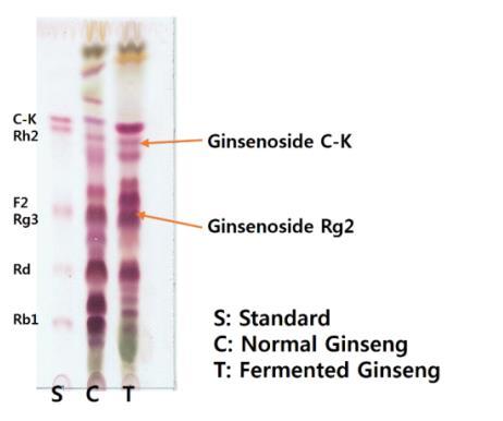 Ginseng Extract Bio B.